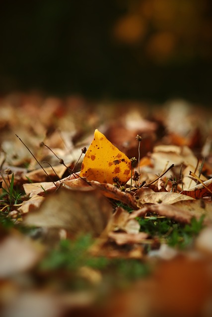 感到既痛心 感到既痛心