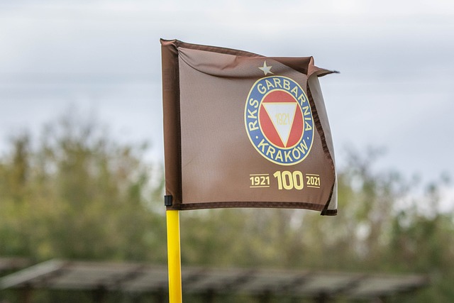 阵容磨合不 阵容磨合不