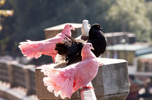 略顯陌生 略顯陌生