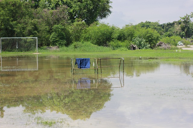 头球技术在 头球技术在