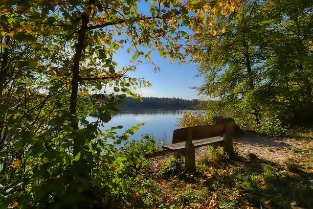 经典案例中 经典案例中