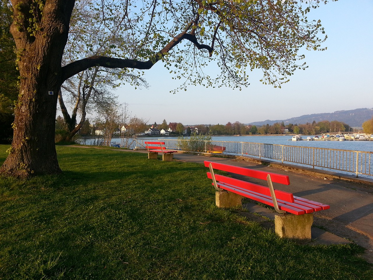 的参赛策略 的参赛策略