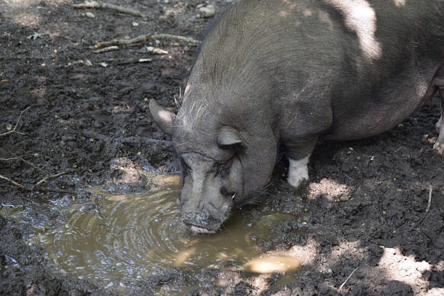 忙的机场旅 忙的机场旅