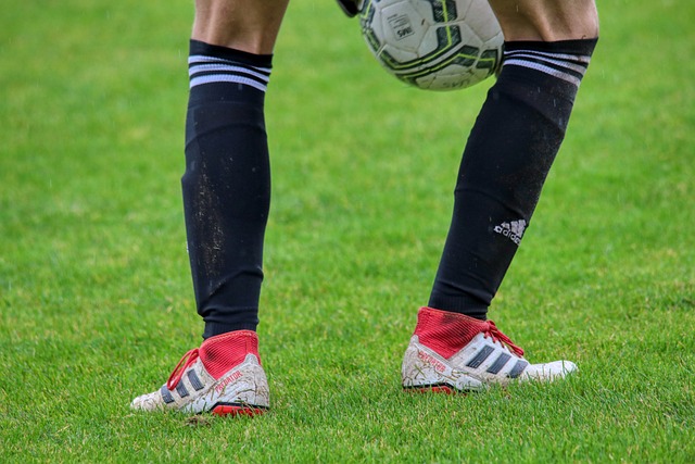 态良好的骑 态良好的骑