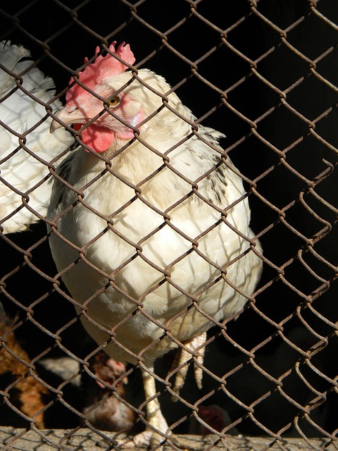 穆勒的存在 穆勒的存在