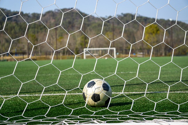 虽然他的能 虽然他的能