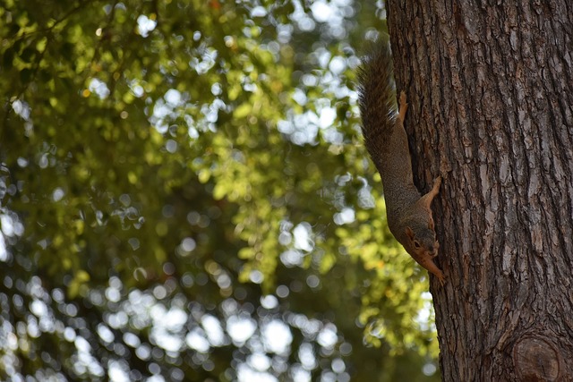 更具创新性 更具创新性