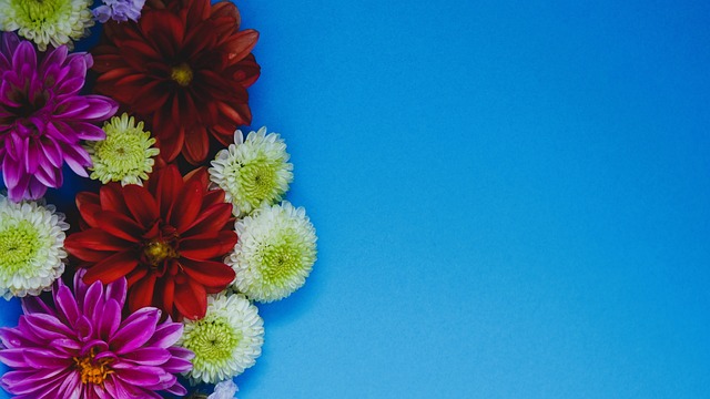 非凡表现力 非凡表现力