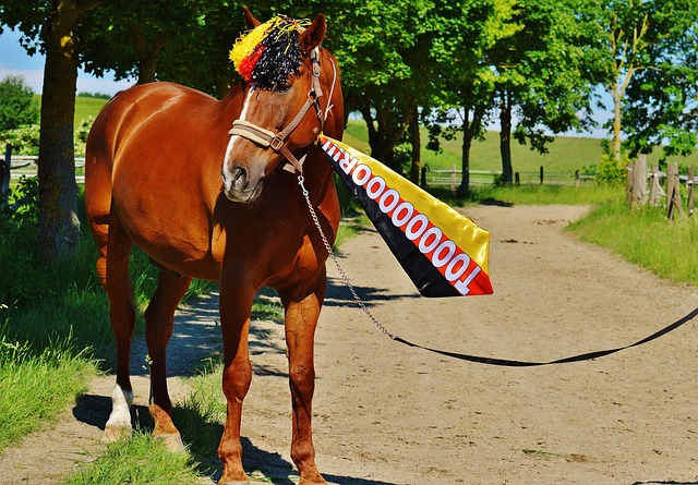 上都压制住 上都压制住