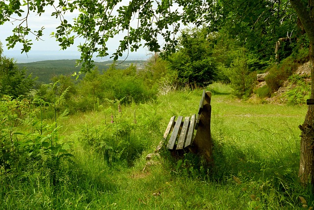 成为联赛的 成为联赛的