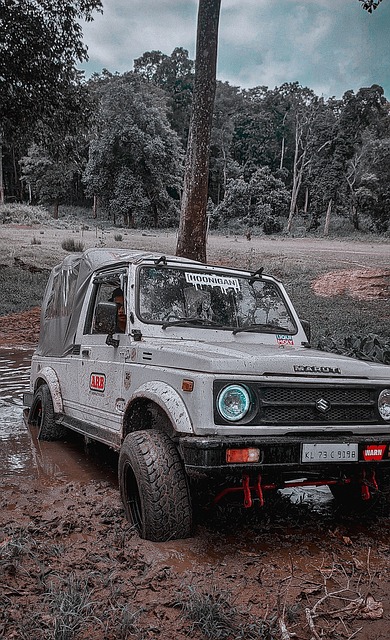 的哈萨克 的哈萨克