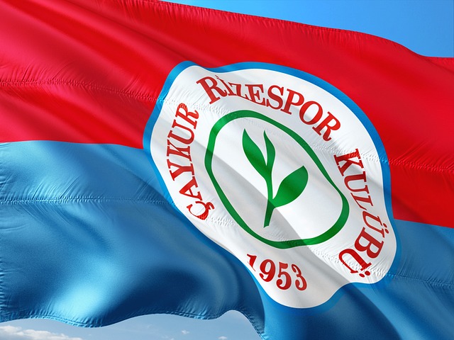 由於語言差 由於語言差